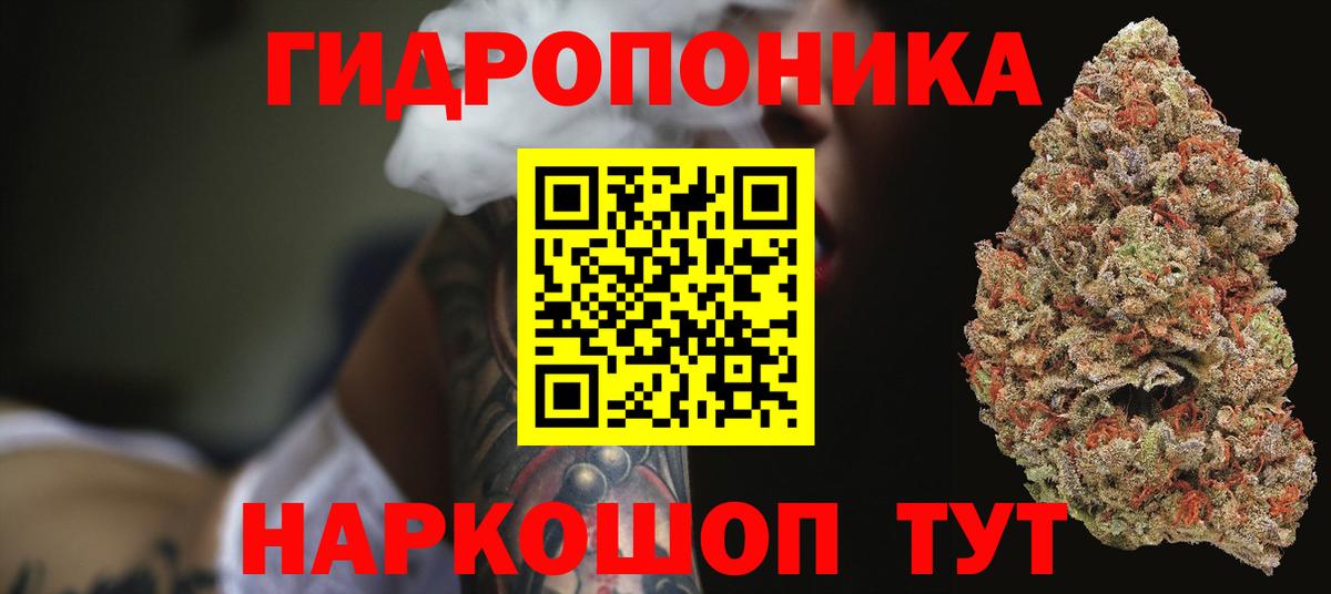 Шишки марихуана Bruce Banner  Вход с VPN  Марихуана сатива  Новодвинск 